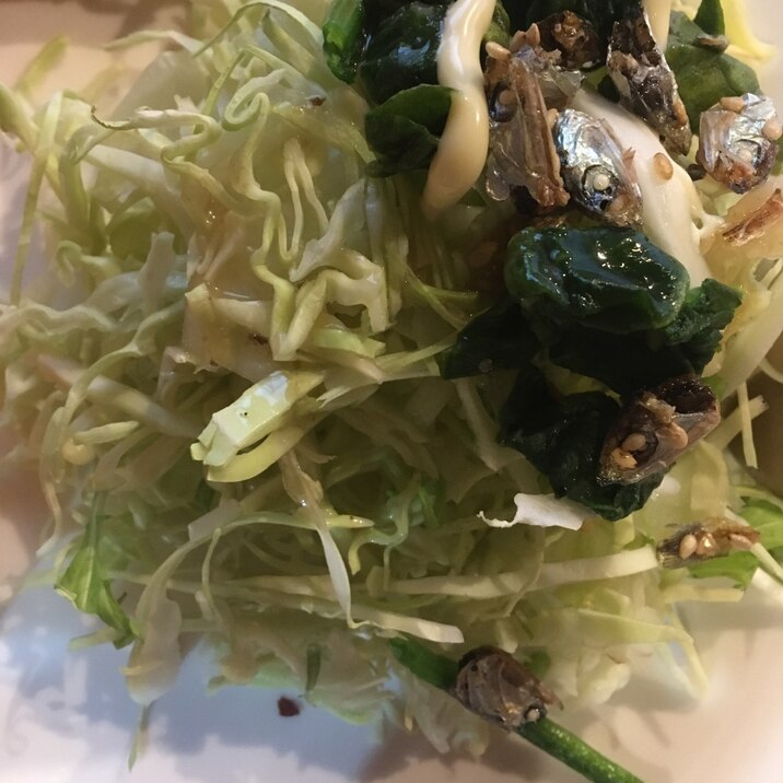 キャベツポパイサラダ